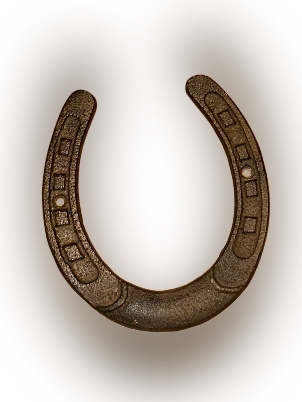 horseshoe wall decor